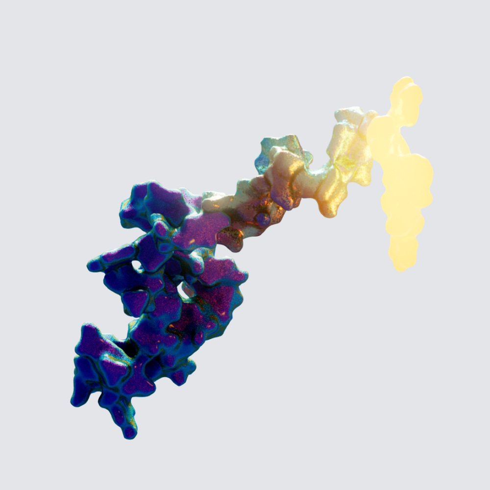 A molecular surface rendering of a peptide, coloured from its folded core through to a disordered tail